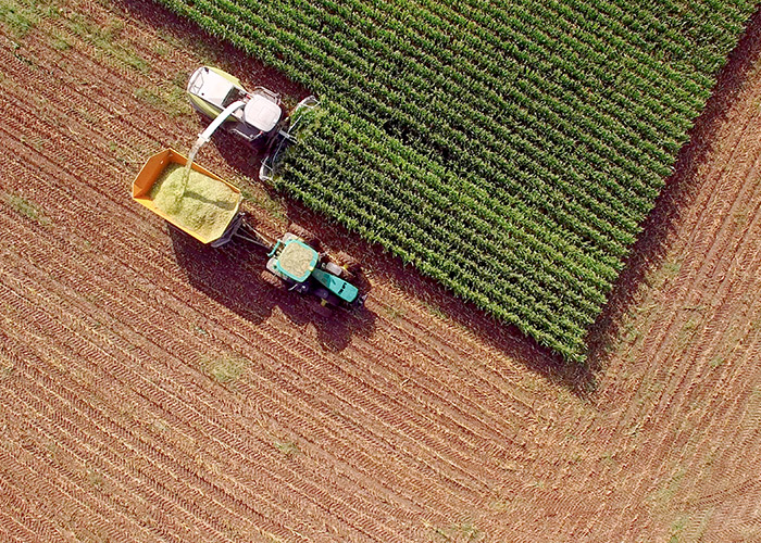 HarvestingSolutions-Services-604352738